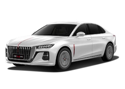 EVA коврики на Hongqi H5 II 2022 - 2025 в Грозном