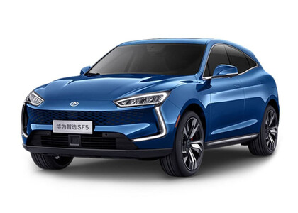 EVA коврики на Seres SF5 2019&nbsp;-&nbsp;2022 в Грозном