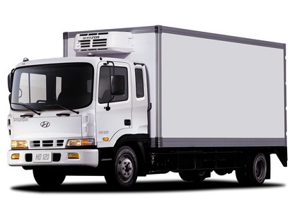 EVA коврики на Hyundai HD120 2004 - 2025 в Грозном