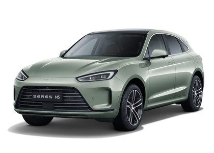 Коврики на Seres M5 2021 - 2025 в Грозном