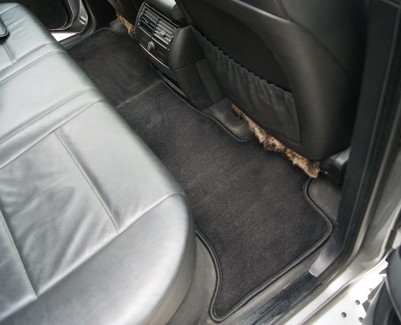 EVA коврики на BMW X5 (E53) 1999 - 2006 в Грозном