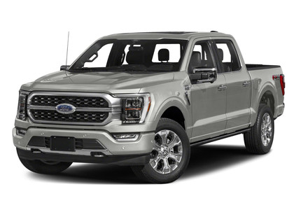 Коврики на Ford F150 2020 - 2025 в Грозном