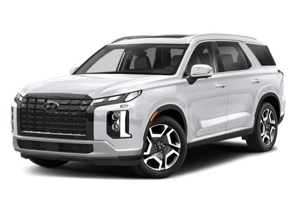 EVA коврики на Hyundai Palisade 2018 - 2025 в Грозном