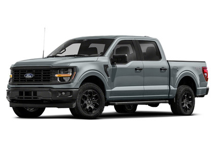 Коврики на Ford F150 2020 - 2025 в Грозном