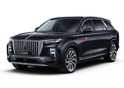 Ворсовые коврики на Hongqi E-HS9 2022 - 2025 в Грозном
