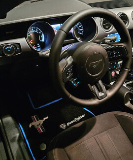 EVA коврики на Ford Mustang VI 2013 - 2023 в Грозном EVA коврики на Ford Mustang VI 2013 - 2023 в Грозном