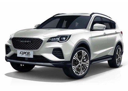 Коврики на Soueast DX8S 2022 - 2025 в Грозном