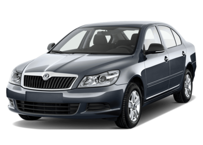 Ворсовые коврики на Skoda Octavia A5 и FL 2004 - 2013 в Грозном
