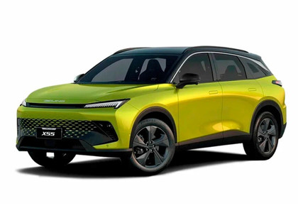 Ворсовые коврики на Baic X55 2022 - 2025 в Грозном
