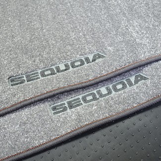 Коврики на Toyota Sequoia II 2007 - 2022 в Грозном