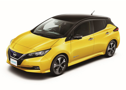 Коврики на Nissan Leaf (ZE1) 2017 - 2025 в Грозном