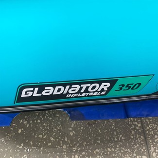 Ворсовые коврики на Лодки Gladiator E350S  в Грозном