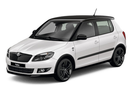 Ворсовые коврики на Skoda Fabia II 2007 - 2015 в Грозном