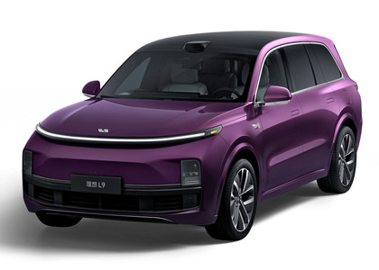 Коврики на Li L9 2022 - 2025 в Грозном