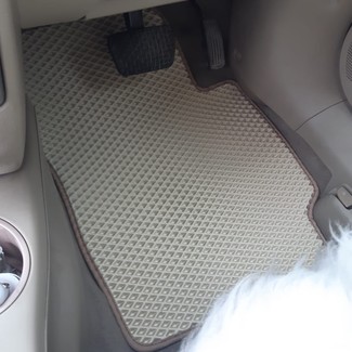 Коврики на Mazda Demio II (DY) 2002 - 2007 в Грозном