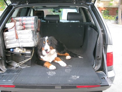 EVA коврики на BMW X5 (E53) 1999 - 2006 в Грозном